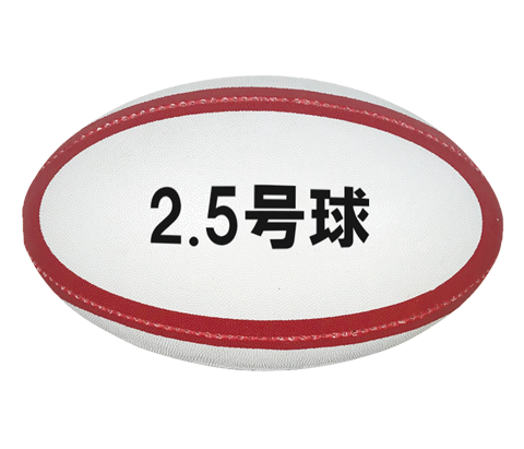 マッチボール2.5号球